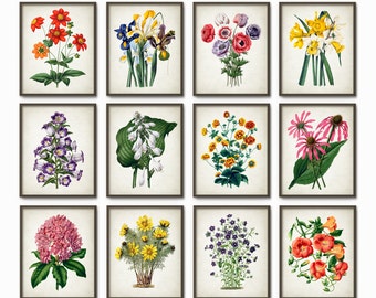 Vintage Botanical Flowers Art Print Set of 12, Floral Home Decor, Antique Book Plate Illustration, Giclee Flower Prints