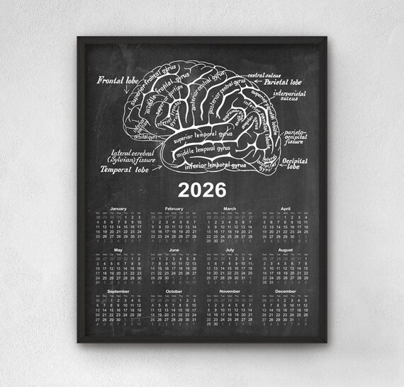 Vintage Brain Chart Calendar 2026, Antique Human Brain Anatomy