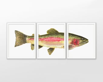 Steelhead Trout Watercolour Print Set Of 3, North American Fish Painting, Game Fish Angler Gift, Trout Triptych Fishing Art 797