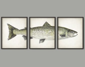 Atlantic Salmon Watercolor Art Poster Set Of 3 - Fish Art Print - Game Fish Angler Gift - Atlantic Salmon Fishing Poster - Bathroom Wall Art