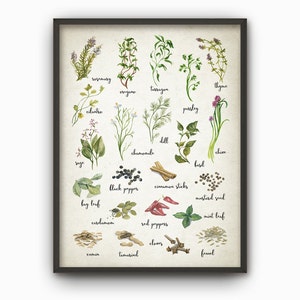Herbs and Spices Watercolor Kitchen Wall Art Poster - Rustic Kitchen Print - Cooking Art Print Kitchen Wall Decor - Gift Idea for Her (B242)