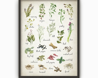 Herbs and Spices Watercolor Kitchen Wall Art Poster - Rustic Kitchen Print - Cooking Art Print Kitchen Wall Decor - Gift Idea for Her (B242)