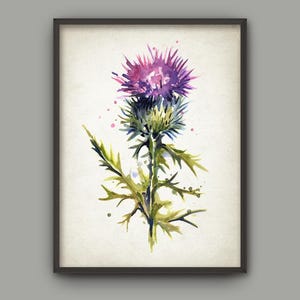 Thistle Watercolor Print, Scottish Thistle Watercolour Painting, Botanical Wall Art Poster, Purple Thistle Poster