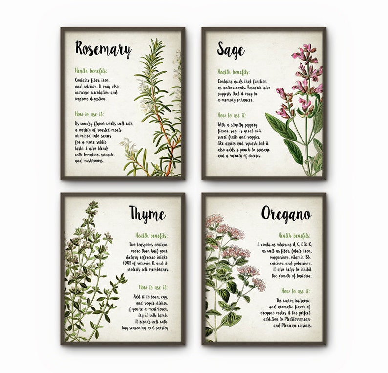Herbs Kitchen Wall Art Print Set of 4 - Oregano Rosemary Sage Thyme ...