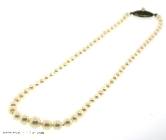 Cultured Pearl Necklace