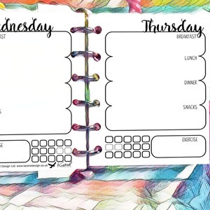 Printable Diet Planner & Diary Filofax Pocket Size 8.1cmx12cm Kestrel ...