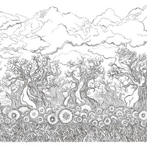 Op de afbeelding: Zwart-witte lijntekening van een boslandschap met kale bomen en een veld vol bloemen. De lucht is gevuld met wolken.