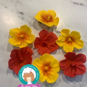 Hibiscus fondant flower toppers