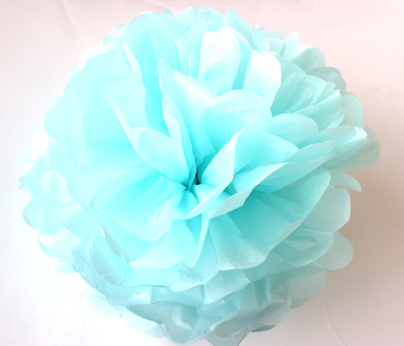 Set of 10 Units 6 Tissue Paper Pom Poms Handmade Etsy
