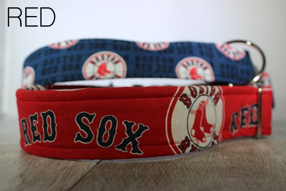 cat and cheeseburger