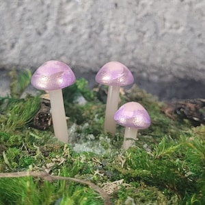 Translucent Shimmery light pink and purple Mushrooms  Fairy Garden Terrarium