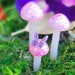 see more listings in the Mushrooms  section