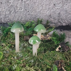Translucent Green Swirl Mushrooms  Fairy Garden Terrarium