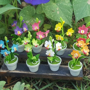 Vibrant Orchids | Ceramic Pot | Miniature Fairy Garden Flowers | Miniature Garden Dollhouse