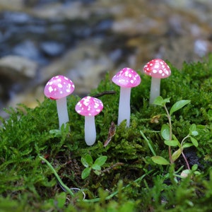 Red and White Miniature Mushrooms | Woodland |  Fairy Garden | Terrarium | Plant Accessory