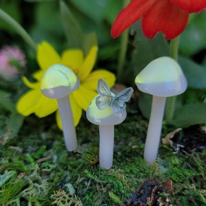 Yellow Swirl Mushrooms  | Fairy Garden | Butterfly |Terrarium