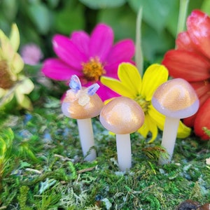 Translusent Gold Mushrooms | Tiny Butterfly |Fairy Garden |Terrarium | Miniature Mushrooms