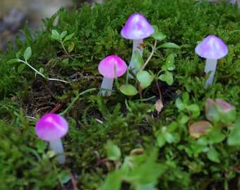 Translucent Shimmery Fuchsia Pink and and Purple Mushrooms  | Butterfly | Fairy Garden Terrarium