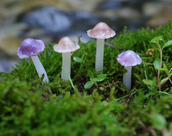 Mushrooms | Translucent Burnt Umber/Brown Mushrooms Miniature Garden Fairy Garden Terrarium