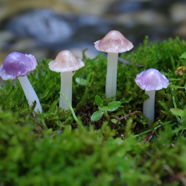 Mushrooms | Translucent Burnt Umber/Brown Mushrooms Miniature Garden Fairy Garden Terrarium