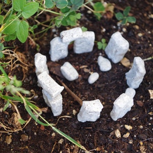May include: A miniature replica of Stonehenge made from small, grey stones arranged in a circle. The stones are placed on a bed of brown soil and surrounded by green plants.