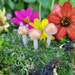 Translusent Gold Mushrooms | Tiny Butterfly |Fairy Garden |Terrarium | Miniature Mushrooms 