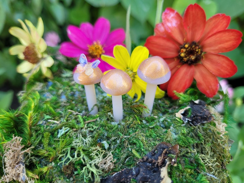 Translusent Gold Mushrooms | Tiny Butterfly |Fairy Garden |Terrarium | Miniature Mushrooms 