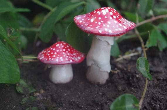 8-Pack Mini Clay Mushrooms - Handmade Fairy Garden Decor (2-3 Inch Tiny Mushroom Statues)