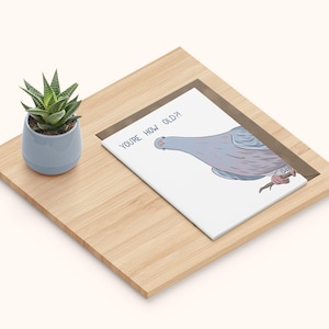 Pigeon Birthday Card