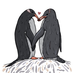 Pinguïns Sharing A Pebble-kaart