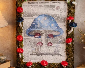 Lighted Moss Mushroom Wall Art, Woodland Shadow Box, Cottagecore Fairy Decor, Botanical Frame
