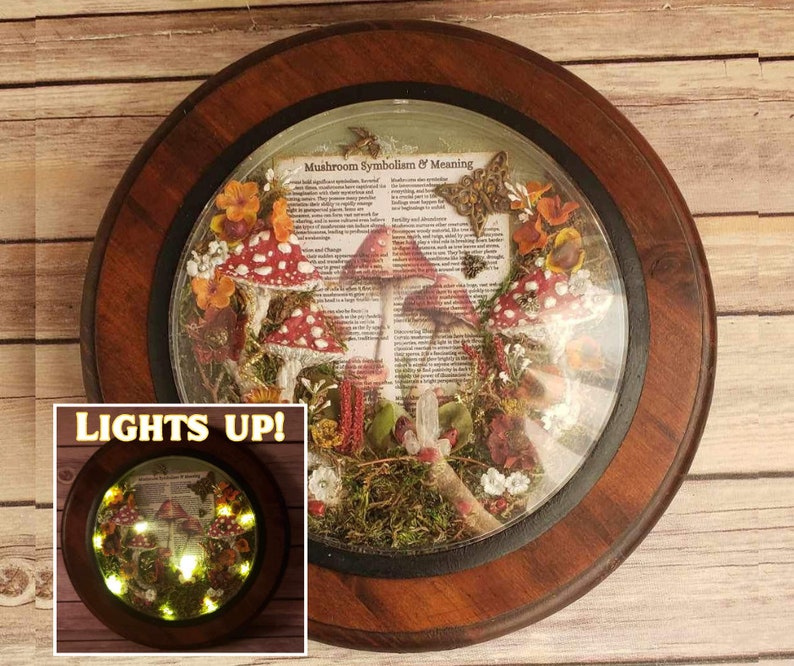 Illuminated Mushroom Shadow Box Mixed Media Gallery Wall Decor Art