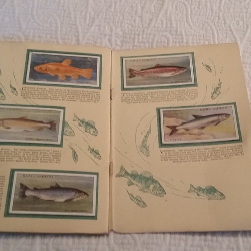 British cigarette good cards British Fresh-Water Fishes John Player and Sons Tobacco booklet Navy Cut