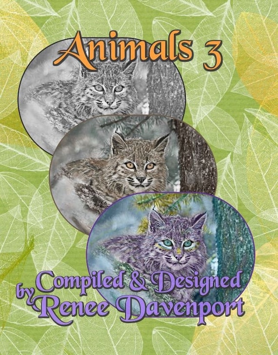 Download Adult Coloring Book Animals 3 Grayscale Adult Coloring Book Etsy