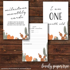 Cactus Desert Monatskarten | Baby Shower Geschenk | MC12