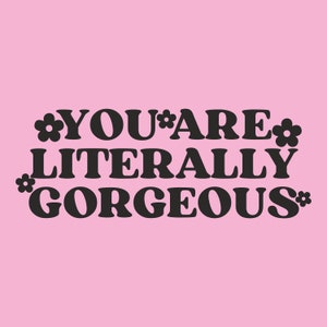 You Are Literally Gorgeous Mirror Vinyl Sticker Customise Colour image 3