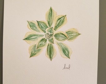 Original watercolor painting of a green Aeonium succulent