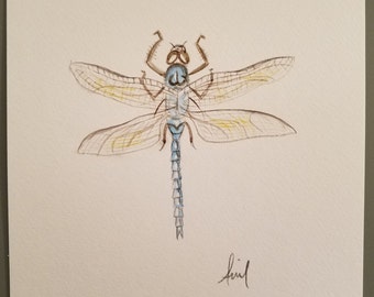 Original watercolor of blue dragonfly