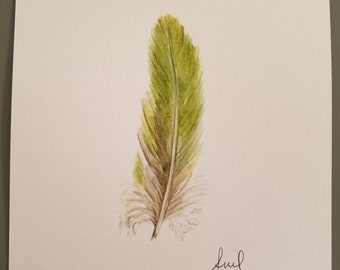 Acuarela original de una pluma de loro verde