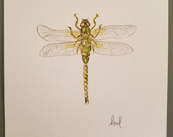 Original watercolor of a green dragonfly