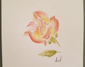 Original watercolor of an Elle Rose