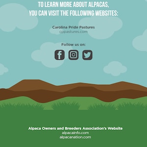 May include: A promotional graphic with a blue sky background and white cloud illustrations. Text reads "TO LEARN MORE ABOUT ALPACAS, YOU CAN VISIT THE FOLLOWING WEBSITES:" followed by website addresses and social media icons.