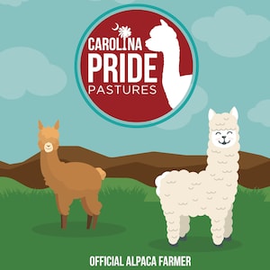 Animal Coloring Book - Alpaca Activity Coloring - Printable Coloring Book - Digital Download - PDF Download  - 20Page - Coloring Book - PDF