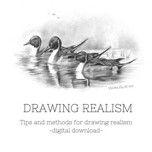 May include: A black and white pencil drawing of three ducks swimming in a lake. The drawing is titled "Drawing Realism" with the text "Tips and methods for drawing realism -digital download- ".