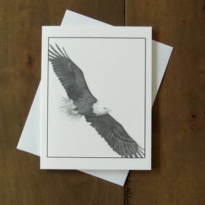 Adler Note Kartenset, Weißkopfseeadler Kunst, Karten für Naturliebhaber, Karten für Kinder, Karten für Naturliebhaber, Karten für Kinder, Wildtierkunstkarten, Vogelkunst, Wildniskunstkarte