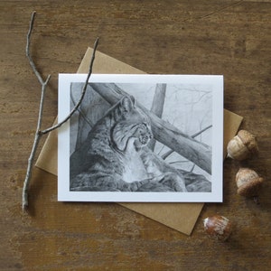 Rotluchs-Grußkarte, Karte für Wanderer, Rotluchs-Karten, Wildtier-Grußkarten, Naturkunstkarten, leere Notizkarte, Rotkehlchenkunst, schwarz-weiße Karte