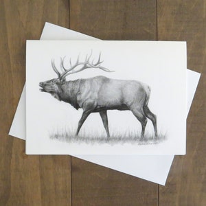 Elk Note Card, 5x7 blank card, wildlife art card, elk art, North American wildlife, elk art, card for hunter, card for dad,animal stationary image 2