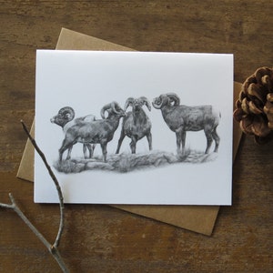 Tarjeta de notas con forma de carnero de las Rocosas, tarjeta con arte de vida salvaje, tarjeta en blanco y negro, tarjetas de naturaleza, tarjetas para él, tarjeta con animales, regalo para escritor, arte con lápiz