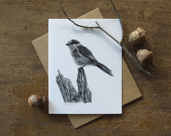 Gray Jay Note Card, wildlife art card, stationary gifts, bird art cards, nature cards, cards for birder, card for teacher, wildlife greeting