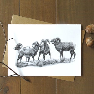 Carte de correspondance de Bighorn, carte d'animal vierge, carte de faune, nature pour mari, carte pour chasseur, carte d'art animalier, cadeau de garde forestier, carte d'art occidental